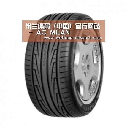 米兰体育app下载产品名称三