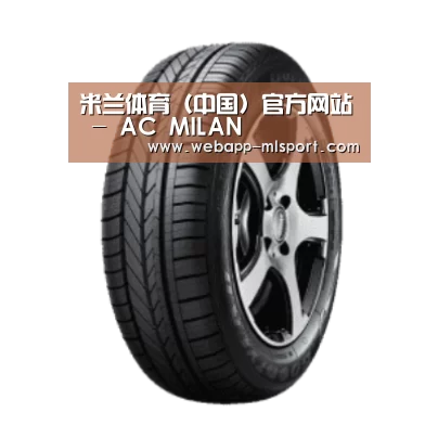 米兰体育app下载产品名称一